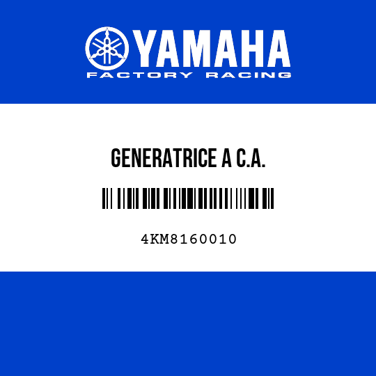 GENERATRICE A C.A.