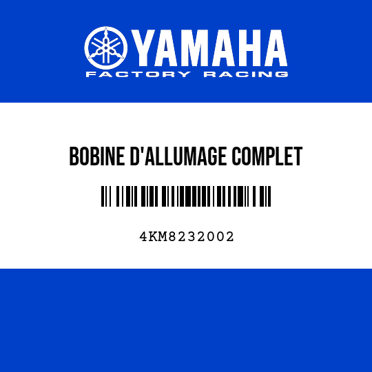 BOBINE D'ALLUMAGE COMPLET