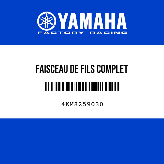 FAISCEAU DE FILS COMPLET