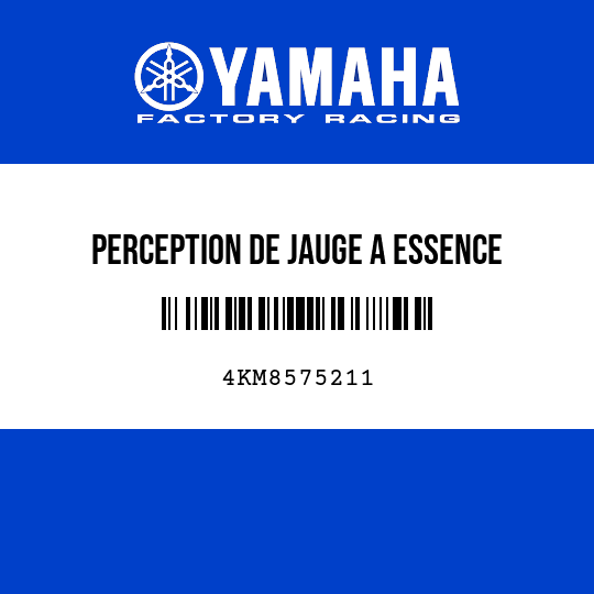 PERCEPTION DE JAUGE A ESSENCE
