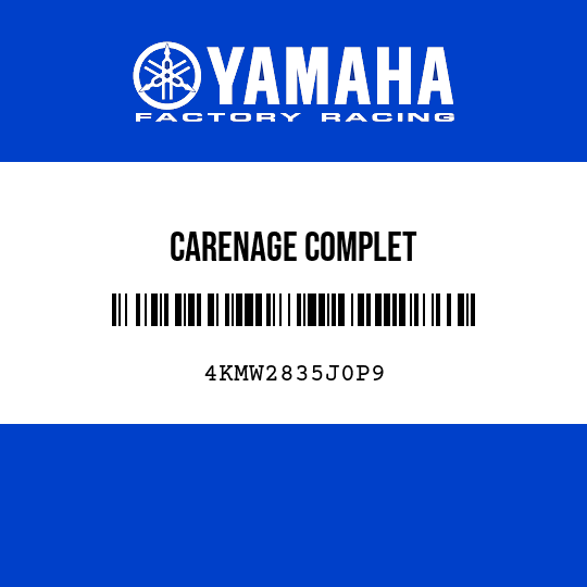 CARENAGE COMPLET