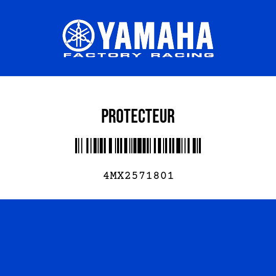 PROTECTEUR