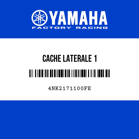 CACHE LATERALE 1