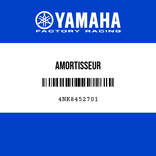 AMORTISSEUR