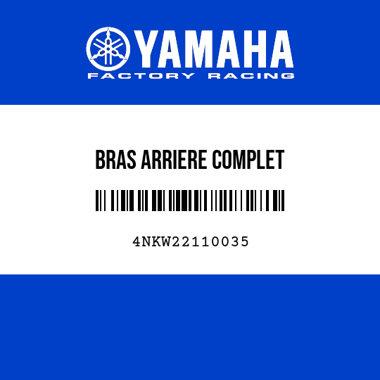 BRAS ARRIERE COMPLET