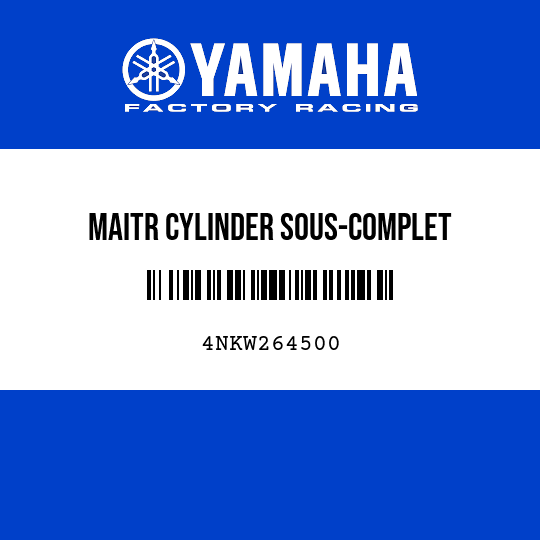 MAITR CYLINDER SOUS-COMPLET