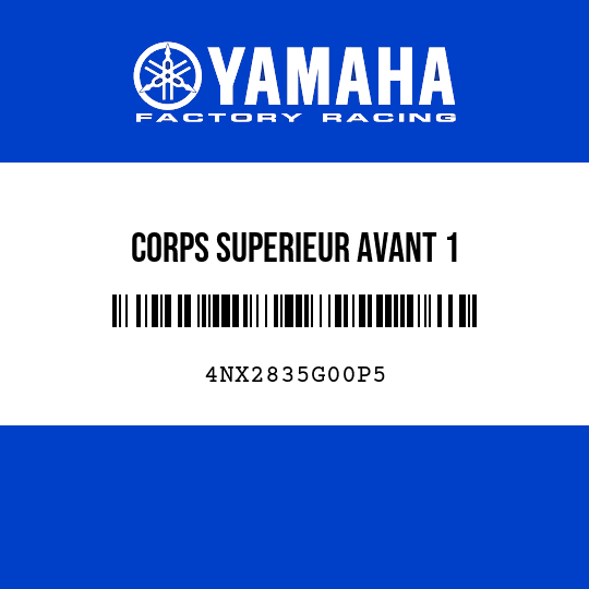 CORPS SUPERIEUR AVANT 1