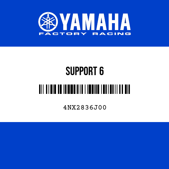 SUPPORT 6