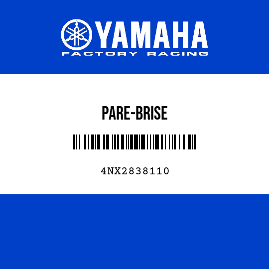 PARE-BRISE