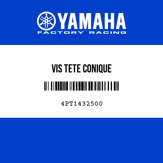 VIS TETE CONIQUE