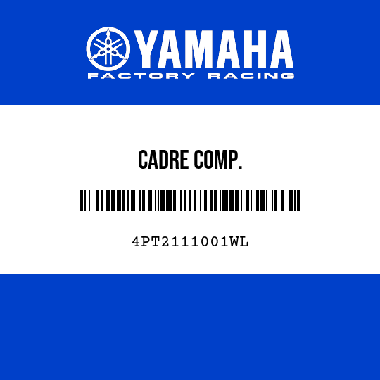 CADRE COMP.
