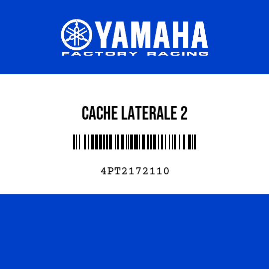 CACHE LATERALE 2