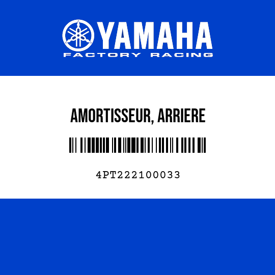 AMORTISSEUR, ARRIERE