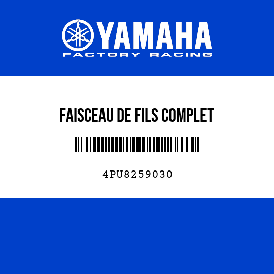FAISCEAU DE FILS COMPLET