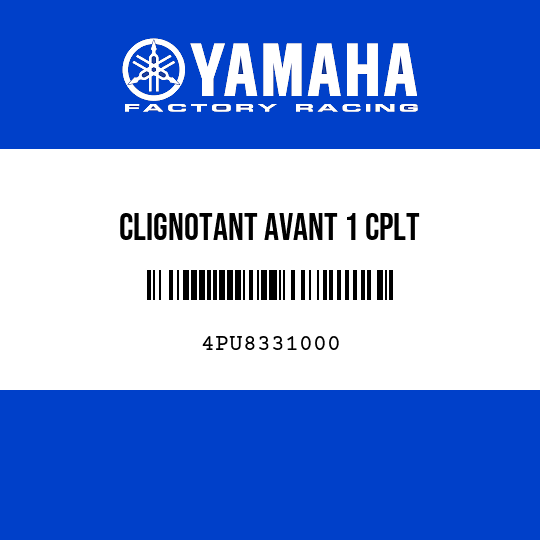 CLIGNOTANT AVANT 1 CPLT