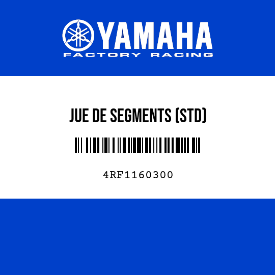 JUE DE SEGMENTS (STD)