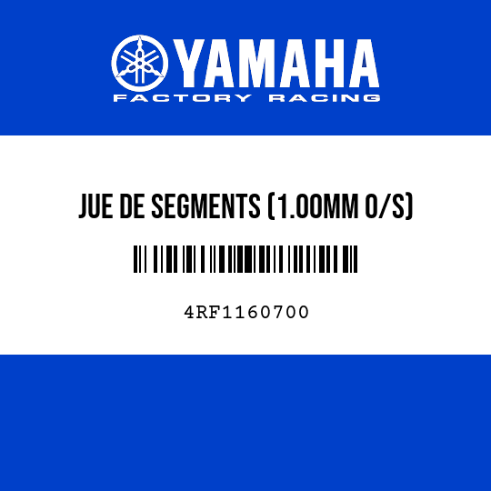 JUE DE SEGMENTS (1.00MM O/S)