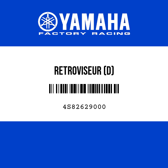 RETROVISEUR (D)
