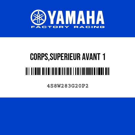 CORPS,SUPERIEUR AVANT 1