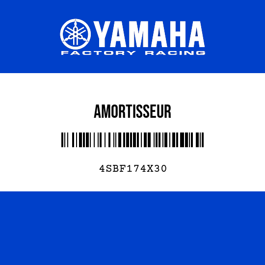 AMORTISSEUR