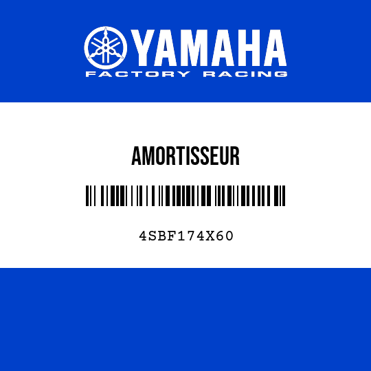 AMORTISSEUR