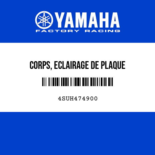 CORPS, ECLAIRAGE DE PLAQUE