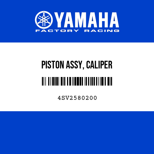PISTON ASSY, CALIPER