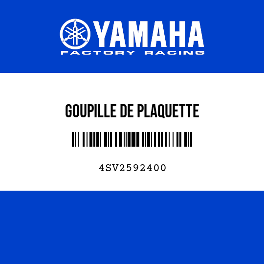 GOUPILLE DE PLAQUETTE