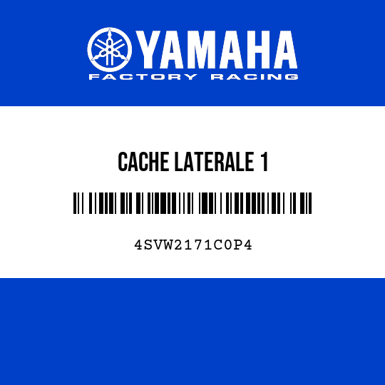 CACHE LATERALE 1