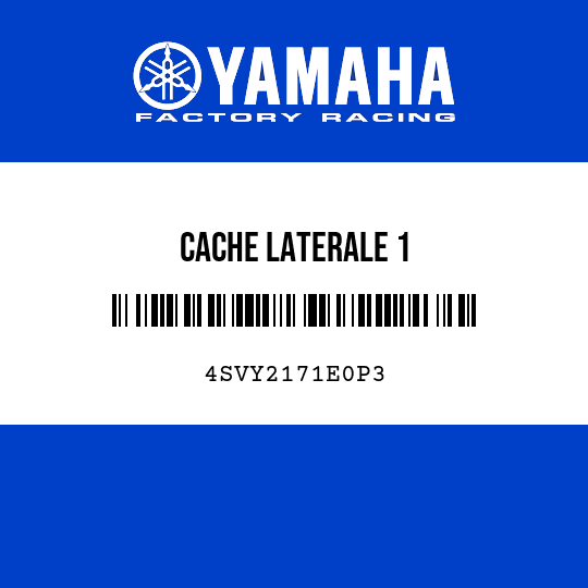 CACHE LATERALE 1