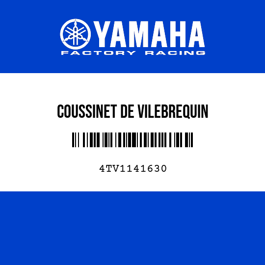 COUSSINET DE VILEBREQUIN