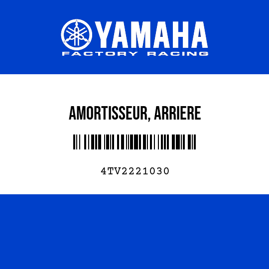 AMORTISSEUR, ARRIERE