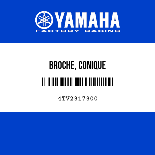 BROCHE, CONIQUE
