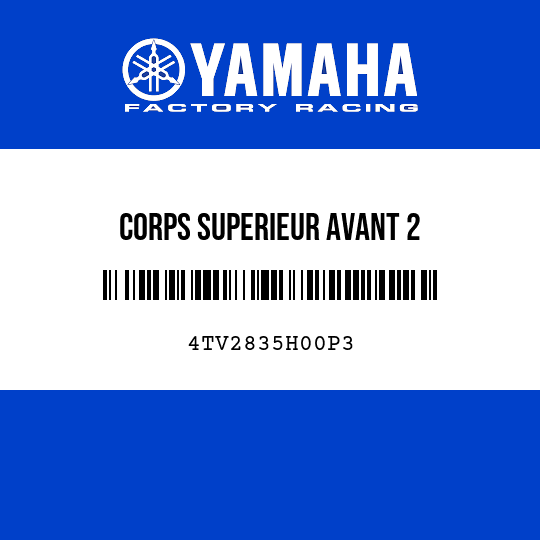 CORPS SUPERIEUR AVANT 2