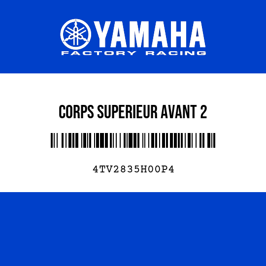 CORPS SUPERIEUR AVANT 2