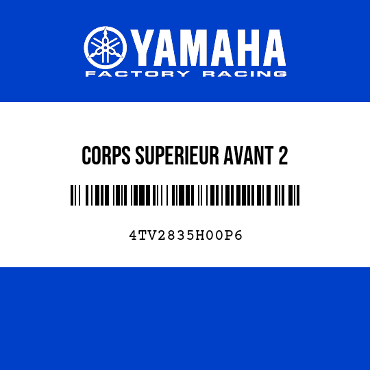 CORPS SUPERIEUR AVANT 2