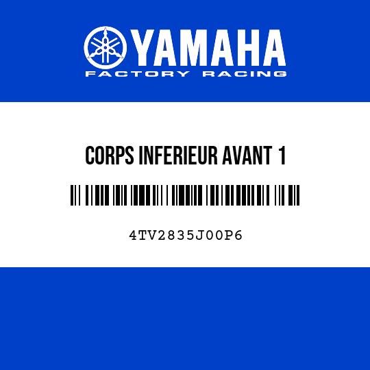 CORPS INFERIEUR AVANT 1