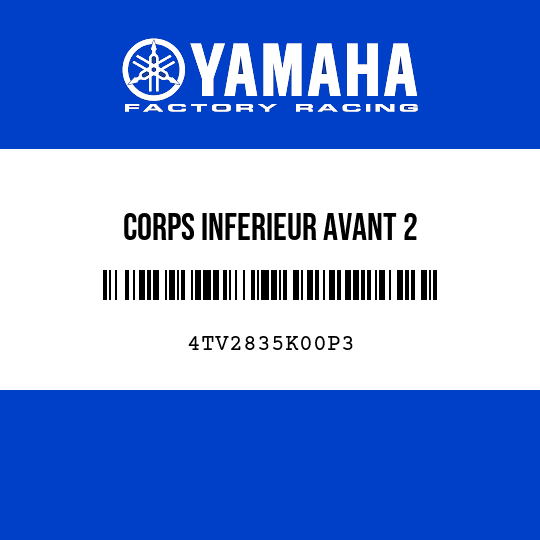 CORPS INFERIEUR AVANT 2