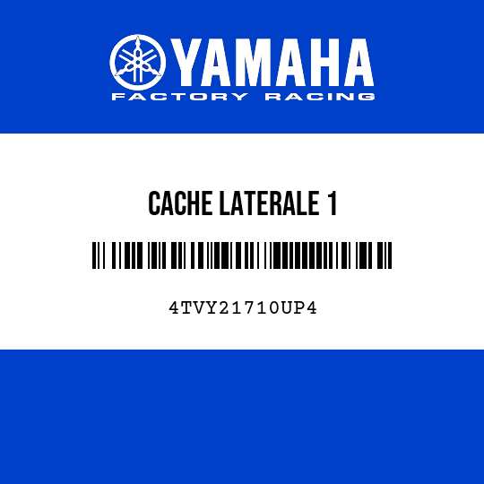CACHE LATERALE 1