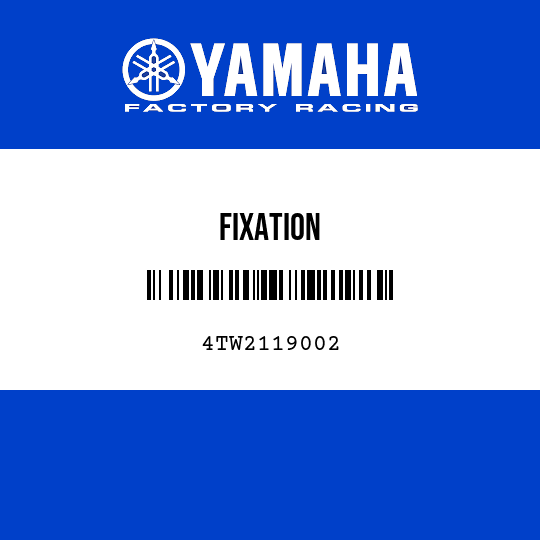 FIXATION