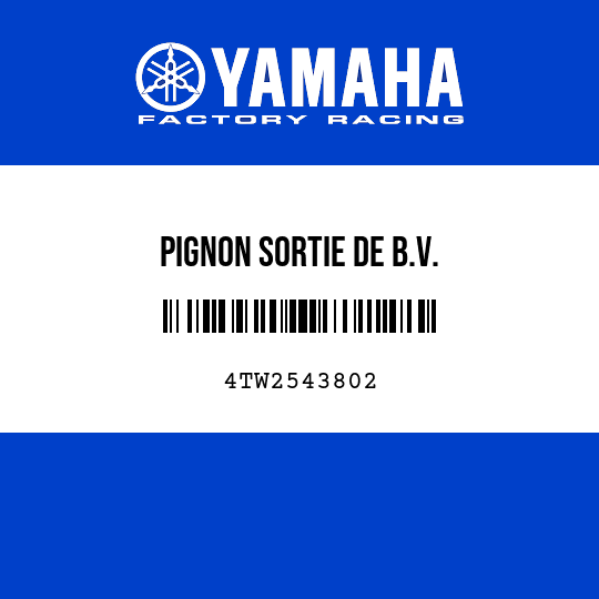 PIGNON SORTIE DE B.V.