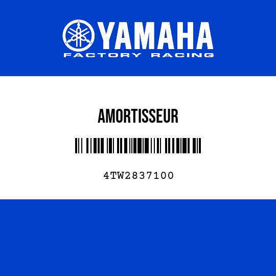 AMORTISSEUR