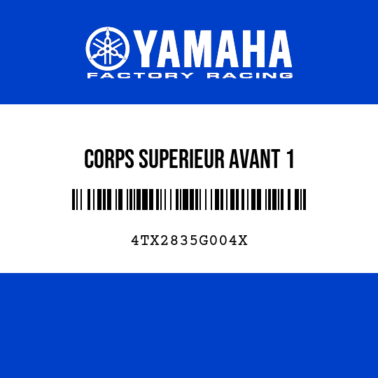 CORPS SUPERIEUR AVANT 1