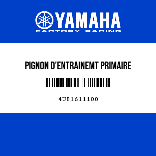 PIGNON D'ENTRAINEMT PRIMAIRE