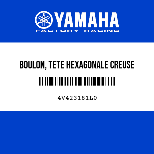 BOULON, TETE HEXAGONALE CREUSE
