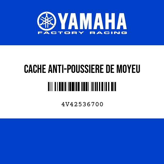 CACHE ANTI-POUSSIERE DE MOYEU