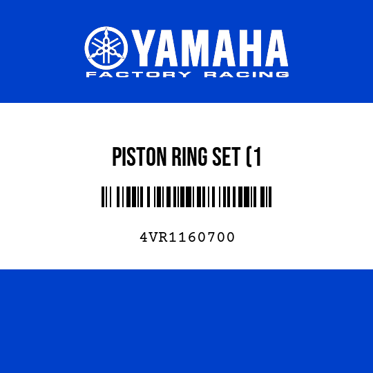PISTON RING SET (1