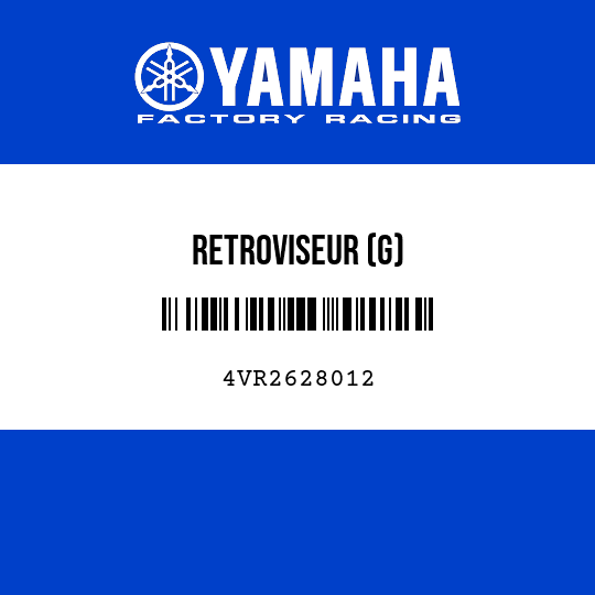 RETROVISEUR (G)