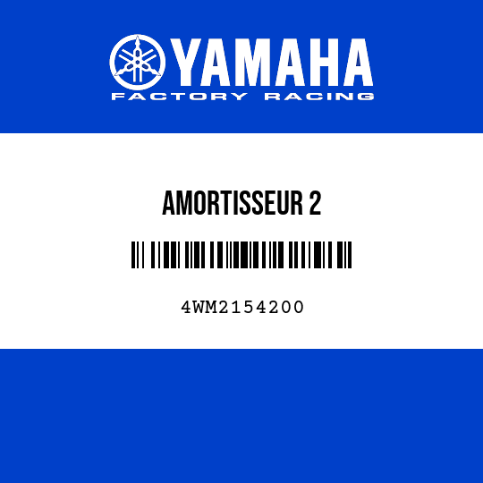 AMORTISSEUR 2