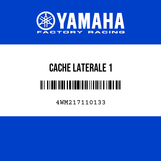 CACHE LATERALE 1